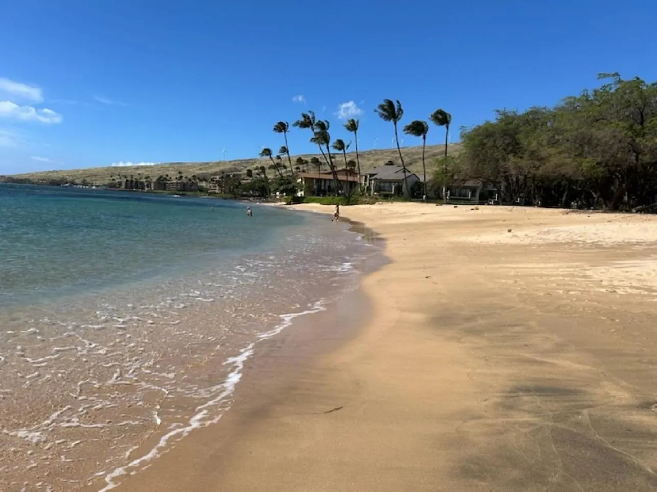 Kanai A Nalu 117 Has Rare Double Sized Lanai, Central Air, 3 Tv'S, Sleep #S Adjustable King, Children'S Stroller, Crib, Pac-N-Play, Games, Washer, Dryer, Boogie Boards, Snorkel Gear, Sand Chairs, Steps To Sugar Beach Wailuku Apartment