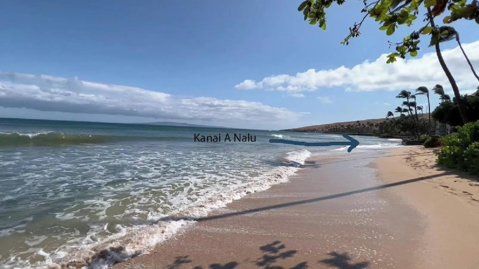 Kanai A Nalu 117 Has Rare Double Sized Lanai, Central Air, 3 Tv'S, Sleep #S Adjustable King, Children'S Stroller, Crib, Pac-N-Play, Games, Washer, Dryer, Boogie Boards, Snorkel Gear, Sand Chairs, Steps To Sugar Beach Wailuku 0*,